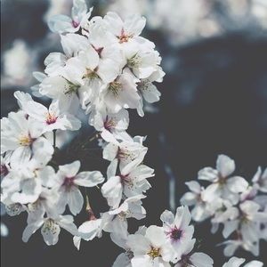 Meet your Posher, Shaira